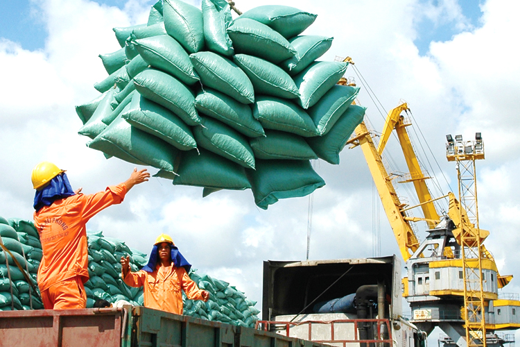 Xuất khẩu gạo cần hướng tới chất lượng, xây dựng thương hiệu bền vững. Ảnh: C.V.D