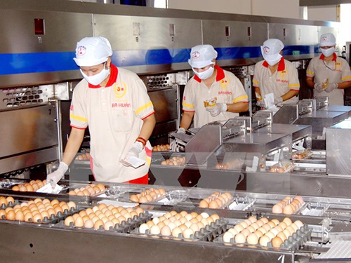 Quy định mới về nguyên tắc điều hành hạn ngạch thuế quan nhập khẩu muối, trứng gia cầm năm 2015
