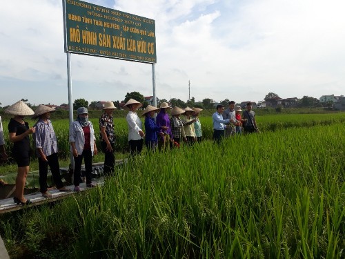Nông sản hữu cơ Quế Lâm: Thay đổi nhận thức của người dân về một nền nông nghiệp “sạch”