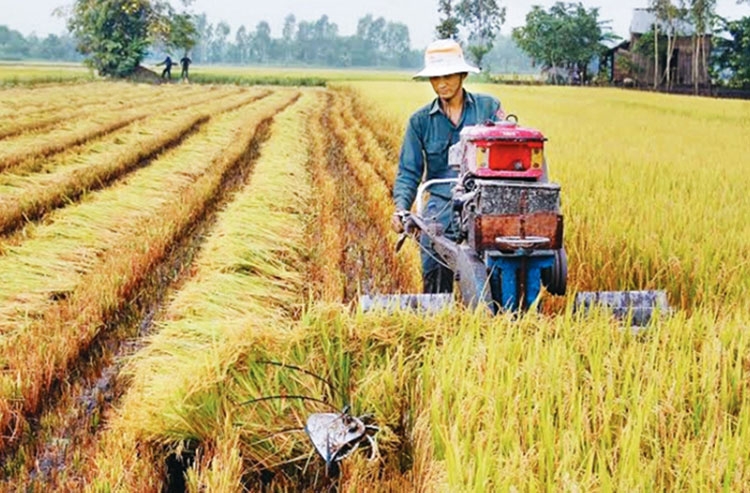 Giải mã xu hướng lựa chọn vật tư nông nghiệp của nông dân Việt Nam
