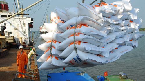 Indonesia đang muốn nhập khẩu 500.000 tấn gạo trắng