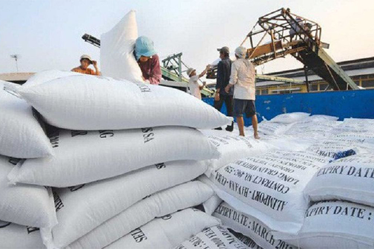 Xuất khẩu gạo tăng trưởng mạnh trong những tháng đầu năm