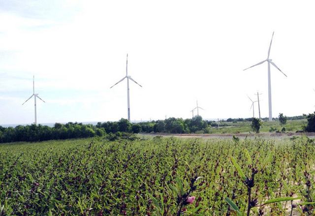  Nhà máy Điện gió Phú Lạc sắp hoạt động, hòa lưới điện quốc gia Ảnh: MINH HẢI 