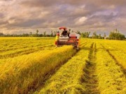 Đề xuất sửa đổi quy định về Quỹ khuyến nông